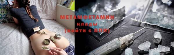 PSILOCYBIN Дмитриев