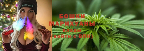 гашик Дмитров