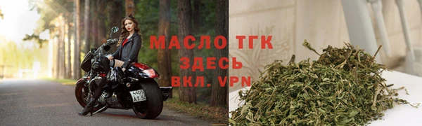 гашик Дмитров