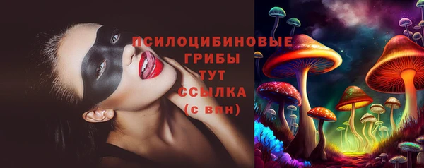 PSILOCYBIN Дмитриев