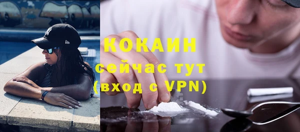PSILOCYBIN Дмитриев