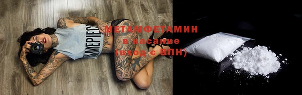 PSILOCYBIN Дмитриев