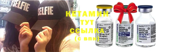 гашик Дмитров