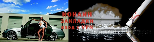гашик Дмитров