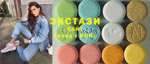 гашик Дмитров