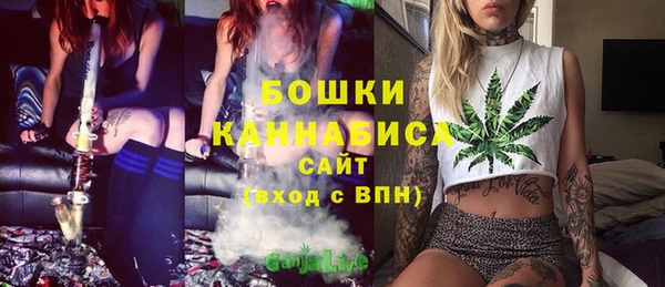 гашик Дмитров