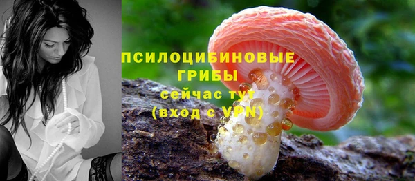 PSILOCYBIN Дмитриев