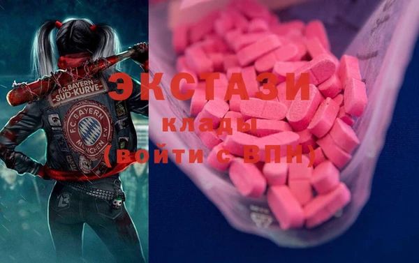 гашик Дмитров