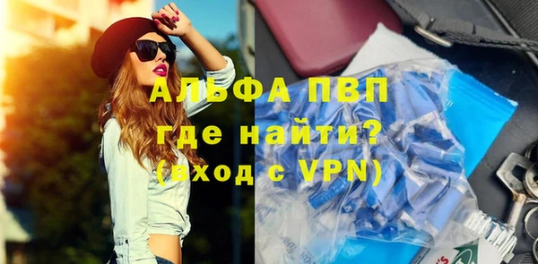 PSILOCYBIN Дмитриев