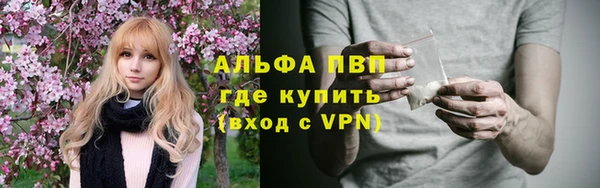 Альфа ПВП Дмитровск