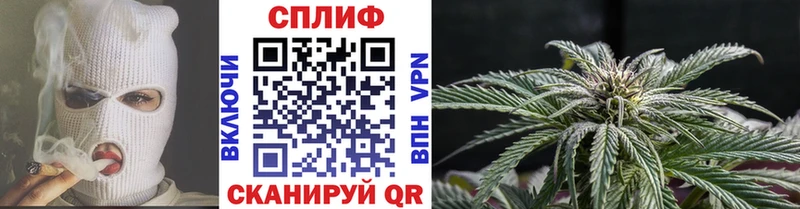 Конопля MAZAR  где можно купить наркотик  Пятигорск 